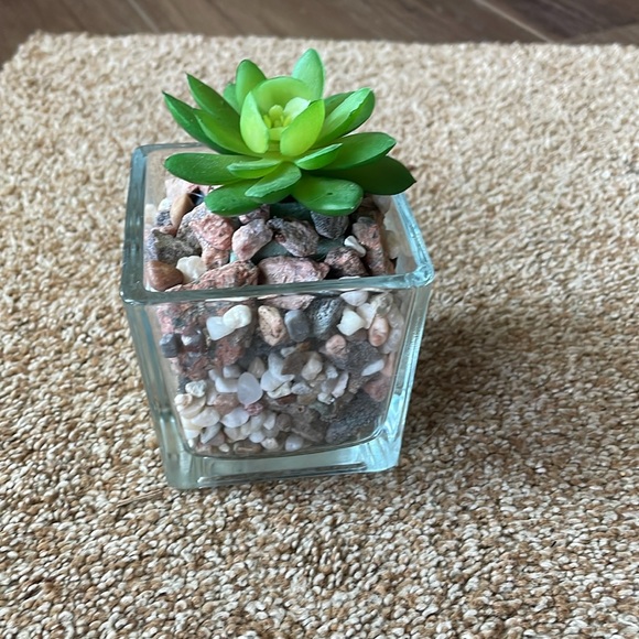 Square Glass faux Succulent - Picture 3 of 4